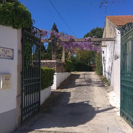 Maison d'hôtes Casa Dos Arrabidos à Torres Novas Extérieur photo