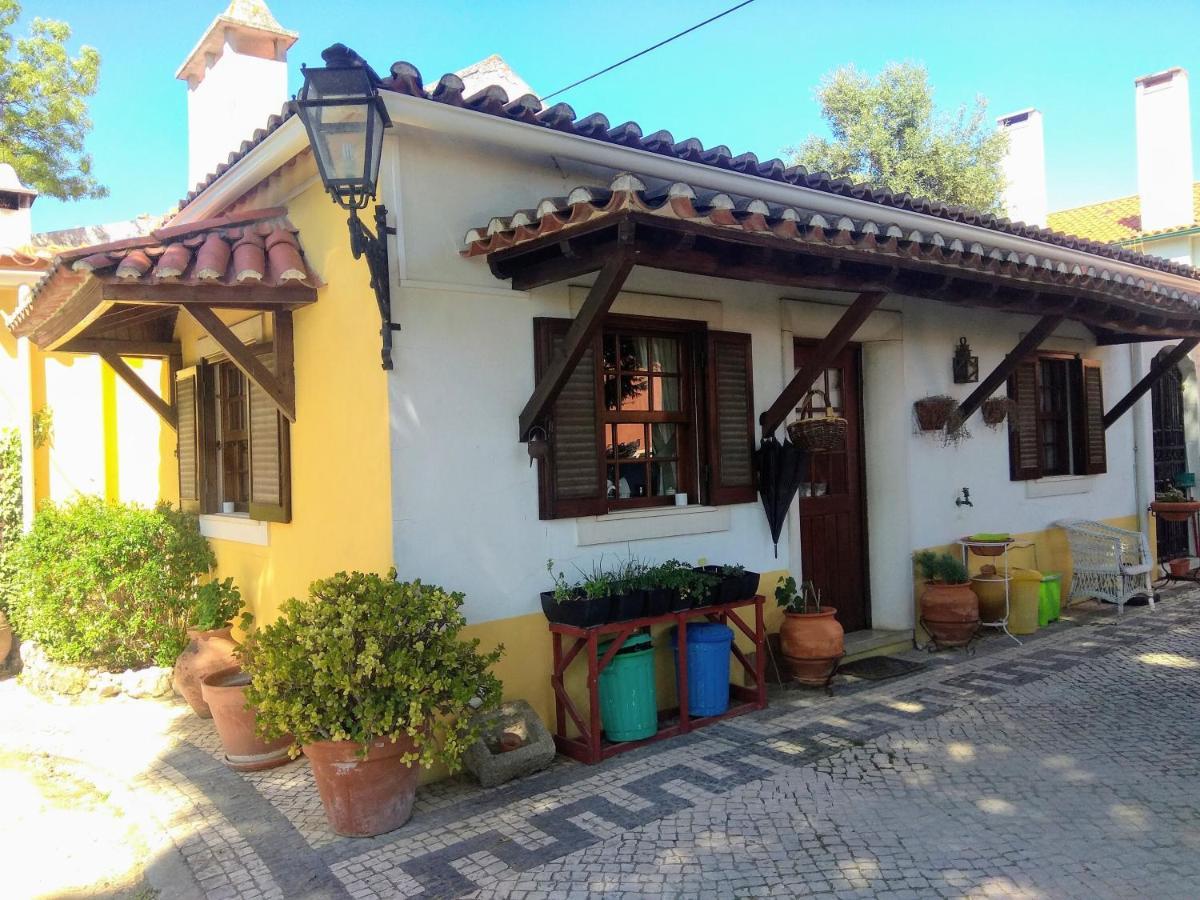 Maison d'hôtes Casa Dos Arrabidos à Torres Novas Extérieur photo
