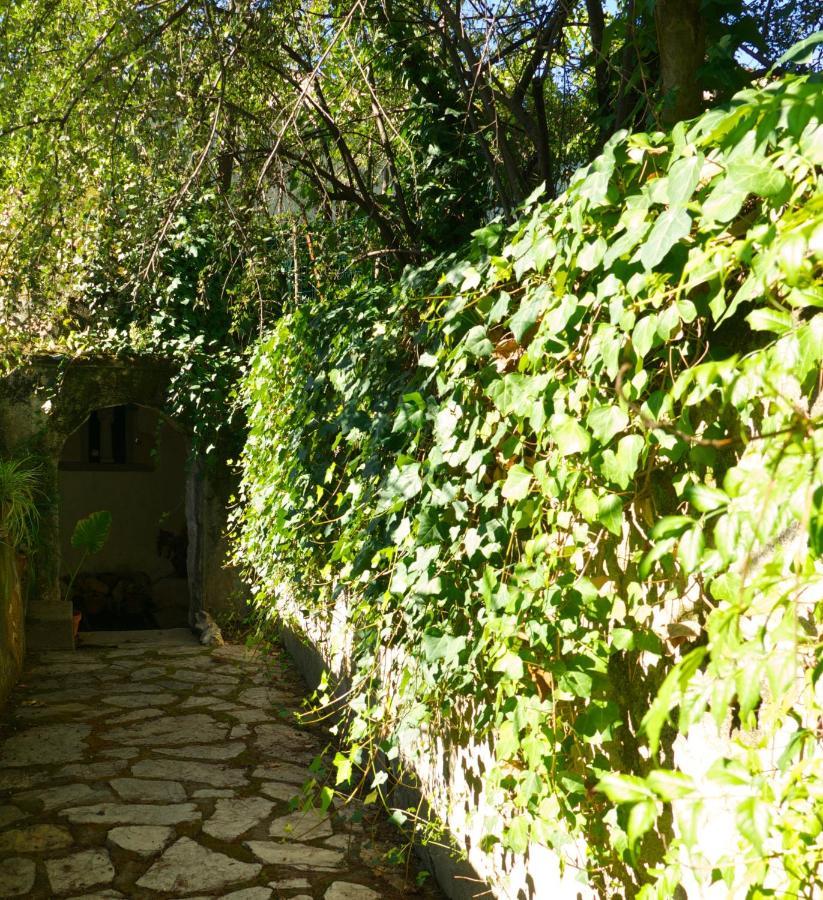 Maison d'hôtes Casa Dos Arrabidos à Torres Novas Extérieur photo