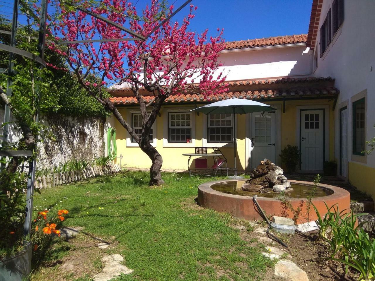 Maison d'hôtes Casa Dos Arrabidos à Torres Novas Extérieur photo